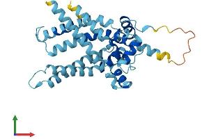 AlphaFold protein structure predicition of Human Recombinant SLC25A47 Protein, UniprotID Q6Q0C1