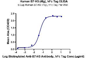 Immobilized Human B7-H3 (4Ig) , hFc Tag at 5 μg/mL (100 μL/Well) on the plate. (CD276 Protein (CD276) (AA 27-461) (Fc Tag))