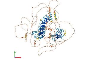 AlphaFold protein structure predicition of Mouse Recombinant Anks1b Protein, UniprotID Q8BIZ1