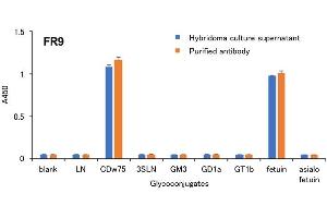 Specificity analysis of clone FR9 for its antigens using ELISA The specificity of clone FR9 was examined by ELISA using microplates coated with various glycoconjugates. (ST6GAL1 anticorps)