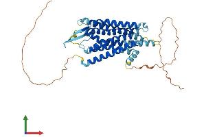 AlphaFold protein structure predicition of Mouse Recombinant Brs3 Protein, UniprotID O54798