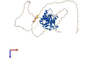 AlphaFold protein structure predicition of Human Recombinant DUSP11 Protein, UniprotID O75319