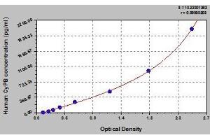 Typical standard curve (PPIB Kit ELISA)