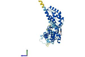 AlphaFold protein structure predicition of Mouse Recombinant Orc4 Protein, UniprotID O88708