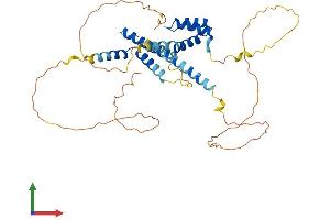 AlphaFold protein structure predicition of Human Recombinant MEIS1 Protein, UniprotID O00470