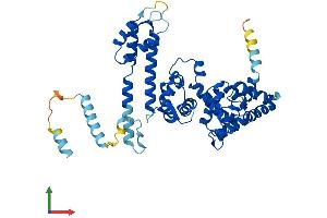 AlphaFold protein structure predicition of Mouse Recombinant Ppp2r3c Protein, UniprotID Q9JK24