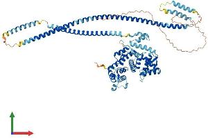 AlphaFold protein structure predicition of Mouse Recombinant Tsnaxip1 Protein, UniprotID Q99P25