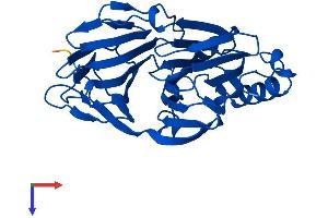 AlphaFold protein structure predicition of Mouse Recombinant Pir Protein, UniprotID Q9D711