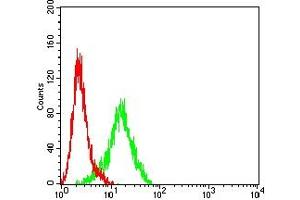 Flow cytometric analysis of HepG2 cells using GPC3 mouse mAb (green) and negative control (red). (Glypican 3 anticorps  (AA 55-200))