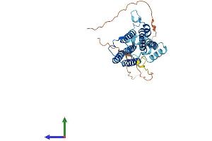 AlphaFold protein structure predicition of Mouse Recombinant Sgms2 Protein, UniprotID Q9D4B1