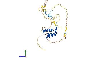 AlphaFold protein structure predicition of Mouse Recombinant Hoxd4 Protein, UniprotID P10628