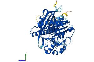 AlphaFold protein structure predicition of Mouse Recombinant Shpk Protein, UniprotID Q9D5J6