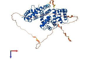 AlphaFold protein structure predicition of Mouse Recombinant Anxa7 Protein, UniprotID Q07076