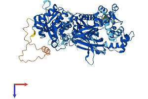 AlphaFold protein structure predicition of Human Recombinant PLCD4 Protein, UniprotID Q9BRC7