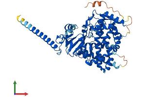 AlphaFold protein structure predicition of Mouse Recombinant Cyp26b1 Protein, UniprotID Q811W2