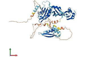 AlphaFold protein structure predicition of Mouse Recombinant Rbm46 Protein, UniprotID P86049