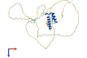 AlphaFold protein structure predicition of Mouse Recombinant Hoxb1 Protein, UniprotID P17919