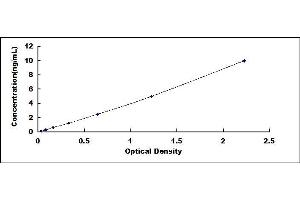 Typical standard curve (STOML2 Kit ELISA)