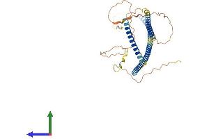 AlphaFold protein structure predicition of Human Recombinant AZI2 Protein, UniprotID Q9H6S1