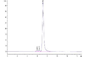 The purity of Cynomolgus PTK7 is greater than 95 % as determined by SEC-HPLC.