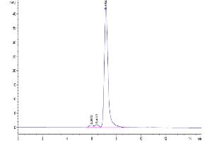 The purity of Cynomolgus PTK7 is greater than 95 % as determined by SEC-HPLC. (PTK7 Protein (AA 39-712) (His tag))