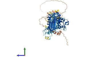 AlphaFold protein structure predicition of Mouse Recombinant Sec14l1 Protein, UniprotID A8Y5H7