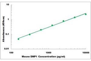 Representative Standard Curve (DMP1 Kit ELISA)