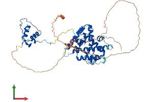AlphaFold protein structure predicition of Mouse Recombinant Hnf4a Protein, UniprotID P49698