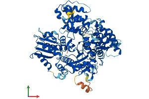 AlphaFold protein structure predicition of Human Recombinant SCFD2 Protein, UniprotID Q8WU76