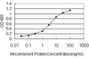 Detection limit for recombinant GST tagged HDAC1 is approximately 0. (HDAC1 anticorps  (AA 1-482))