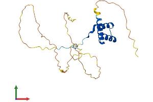 AlphaFold protein structure predicition of Mouse Recombinant Hoxc6 Protein, UniprotID P10629