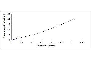Typical standard curve (SYT17 Kit ELISA)