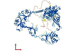 AlphaFold protein structure predicition of Human Recombinant USP7 Protein, UniprotID Q93009