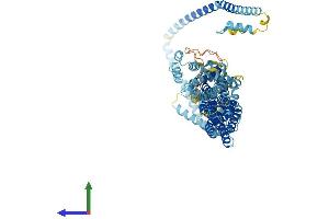 AlphaFold protein structure predicition of Human Recombinant COG7 Protein, UniprotID P83436