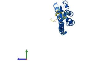 AlphaFold protein structure predicition of Human Recombinant COMMD8 Protein, UniprotID Q9NX08