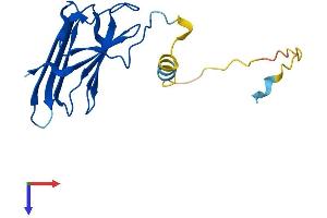 AlphaFold protein structure predicition of Mouse Recombinant Ptges3 Protein, UniprotID Q9R0Q7