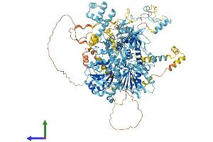 AlphaFold protein structure predicition of Human Recombinant DHX8 Protein, UniprotID Q14562
