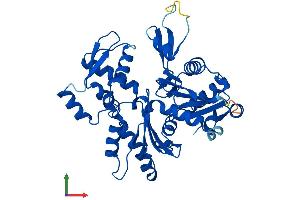 AlphaFold protein structure predicition of Human Recombinant ACTBL2 Protein, UniprotID Q562R1