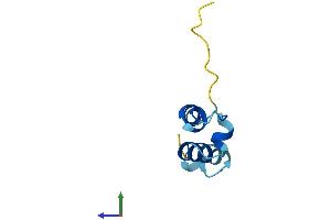 AlphaFold protein structure predicition of Mouse Recombinant Coa5 Protein, UniprotID Q99M07