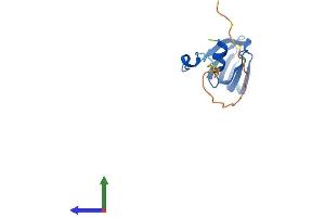 AlphaFold protein structure predicition of Mouse Recombinant Snrpd1 Protein, UniprotID P62315