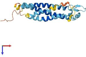 AlphaFold protein structure predicition of Human Recombinant TM4SF4 Protein, UniprotID P48230