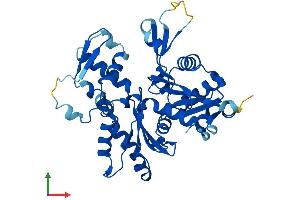 AlphaFold protein structure predicition of Human Recombinant ACTRT1 Protein, UniprotID Q8TDG2