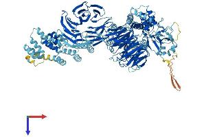 AlphaFold protein structure predicition of Mouse Recombinant Ift122 Protein, UniprotID Q6NWV3