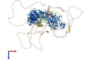 AlphaFold protein structure predicition of Human Recombinant SYNJ2 Protein, UniprotID O15056