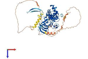 AlphaFold protein structure predicition of Mouse Recombinant Phf19 Protein, UniprotID Q9CXG9