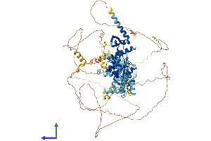 AlphaFold protein structure predicition of Mouse Recombinant Gen1 Protein, UniprotID Q8BMI4