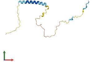 AlphaFold protein structure predicition of Human Recombinant MLANA Protein, UniprotID Q16655