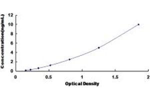Typical standard curve (LEFTY1 Kit ELISA)