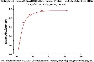 Immobilized Human TGFB1, His Tag (ABIN4949126,ABIN4949127) at 5 μg/mL (100 μL/well) can bind Biotinylated Human ITGAV&ITGB6 Heterodimer Protein, His,Avitag&Tag Free (ABIN5674599,ABIN6253672) with a linear range of 2-10 ng/mL (QC tested).