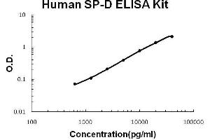 Human SP-D PicoKine ELISA Kit standard curve (SFTPD Kit ELISA)